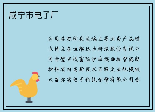 咸宁市电子厂